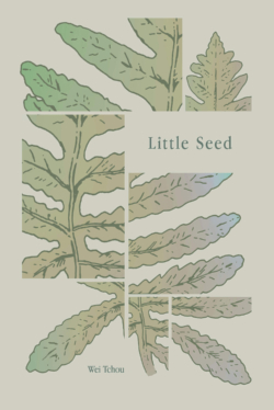 Little Seed